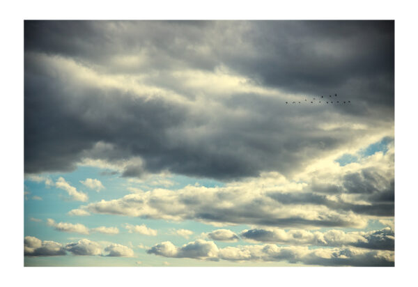 Turguoise Sky