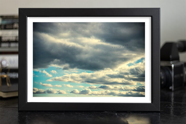 Turguoise Sky - Image 3